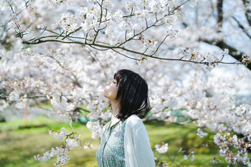 桜の木の下にいる女性