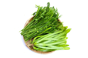 Leucaena leucocephala isolated on white background