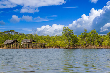 Fototapeta na wymiar Cabane sur pilotis dans une mangrove