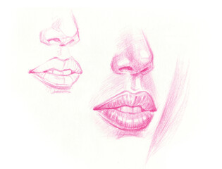 woman face with lips and noses pencil color for illustration decoration