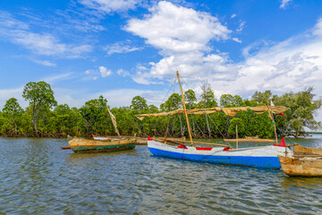 Pirogues à balancier dans une mangrove
