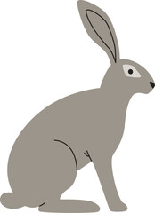 Rabbit Animal Sitting