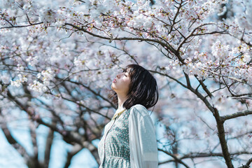 桜の木の下にいる女性