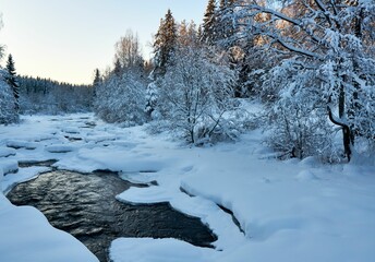 Frozen forest with a river