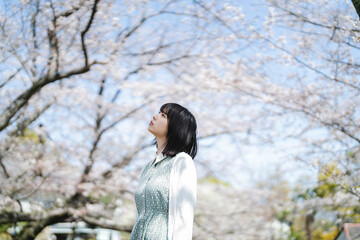 桜の花を見るショートヘアの女性