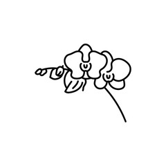 Orhid flower black line