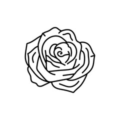 Rose flower black line