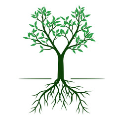 Green spring Tree. Vector Illustration. Leaf and Roots.