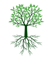 Green spring Tree. Vector Illustration. Leaf and Roots.
