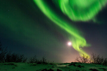 imagen de un paisaje de montañas nevadas de noche, con una aurora boreal en el cielo nocturno de...