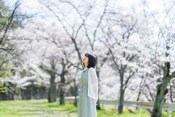 桜の花を見るショートヘアの女性