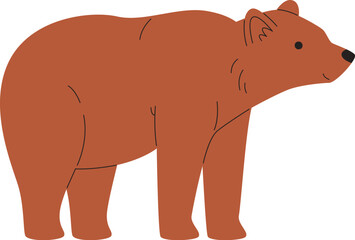 Bear Animal Standing