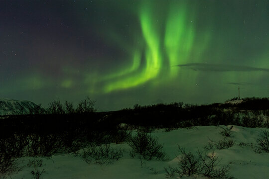 imagen de un paisaje nocturno nevado, con una aurora boreal en el cielo nocturno de Islandia 