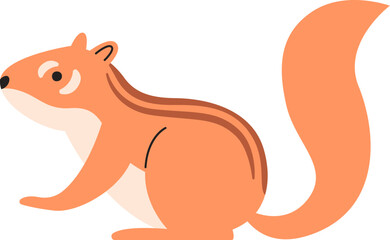 Squirrel Rodent Animal