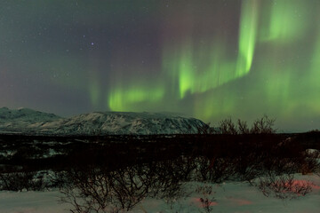 imagen de un paisaje nocturno nevado con las montañas de fondo y una aurora boreal en el cielo de Islandia  - obrazy, fototapety, plakaty