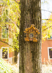 vintage clock on a tree trunk at a park in Italy