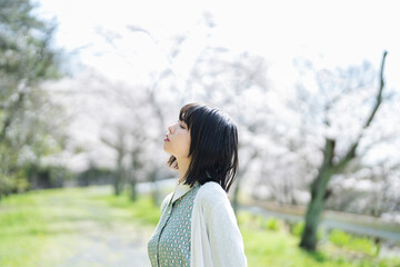 桜の花を見るショートヘアの女性