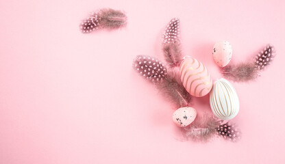 Banner. Easter eggs and feathers on a pink background. Long banner format. top view