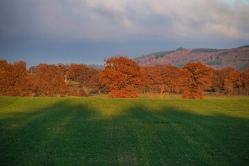 Beautiful autumnal landscape on a sunny day