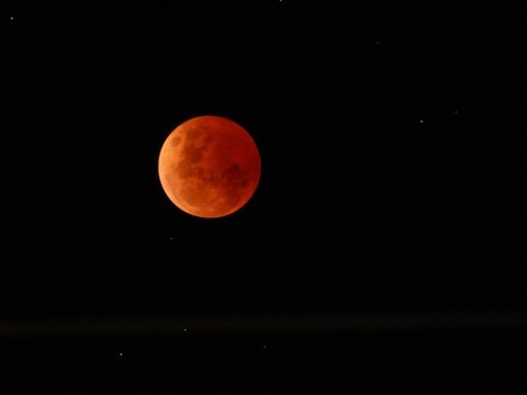 Fototapeta Total Lunar Eclipse - Blood Moon