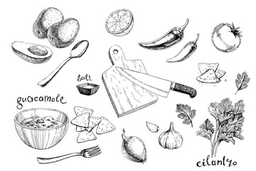 Vector hand-drawn illustration of a set of ingredients for guacamole, isolated on a white background. A recipe of guac in sketch style. Avocado, tomato pepper, spices and cooking appliances. - 589149216