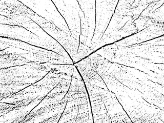 Grunge vector texture of a cherry cross-section. Monochromatic background with an old sawn log and cracks. Template for overlay or stencil use. A unique design element that is raw, natural