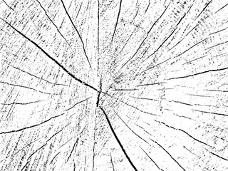Vector grunge texture of an apple tree cross-section. Monochrome background of an old sawn log with cracks. Template for overlay or stencil. A design element that is raw, natural, and unique
