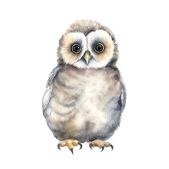 Naklejka premium Wild watercolor baby animal on the white isolated background.