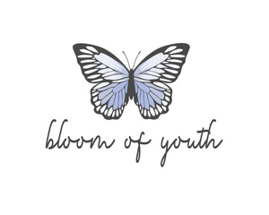 butterfly on white background