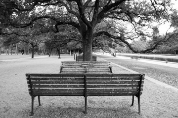 bench in the park