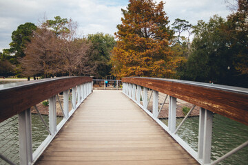 Fototapeta na wymiar bridge over the river in autumn