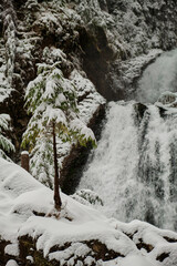 waterfall in the winter