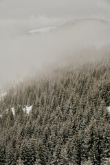 fog in the mountains