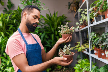 Entrepreneur compares plants in pots in plant shop.