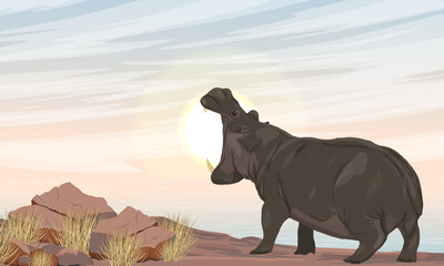A large African hippopotamus stands on a rocky shore of a lake. Hippo yawns or growls. Wildlife of Africa with tall dry grass, lakes and mountains. Realistic vector landscape