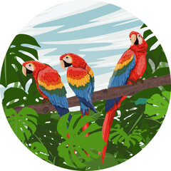Round composition. A flock of scarlet macaw parrots sits on the branches of a tropical tree with moss and large leaves. South America and Africa. Realistic vector landscape