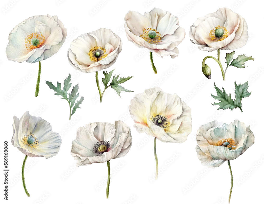 Wall mural Poppies white set isolated on white background. Generative AI, digital art