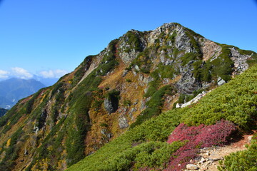 Fototapeta na wymiar 紅葉の常念岳山頂
