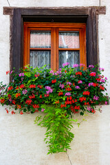 Fototapeta na wymiar Old window and flowers on the Vintage house, Eguisheim, France