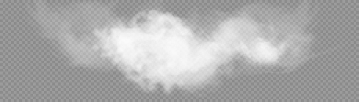 White vector cloudiness, fog, smoke on a transparent background. Cloudy sky or smog over the city. Vector	
