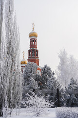 Cathedral in frost in winter