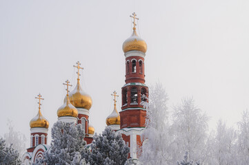 Cathedral in frost in winter