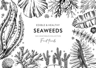 Edible seaweed frame design in sketch style. Hand-drawn sea vegetables - kelp, wakame, hijiki, kombu, nori vector food illustrations. Healthy food ingredients background. Japanese cuisine menu