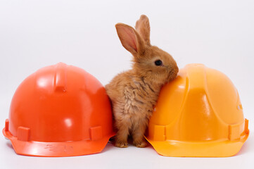builder's day, symbol of the year easter bunny in a construction helmet on a white background - 589172245