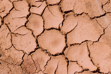 After long period of drought ground texture is characterized by large cracks dry