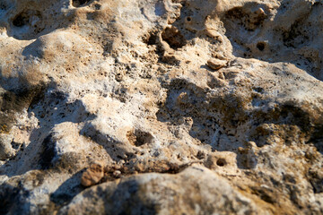 stone wall texture