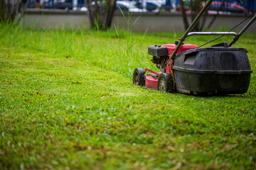 Red Lawn mower cutting grass
