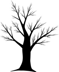 Fototapeta premium silhouette of a tree