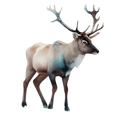 Reindeer illustration watercolor with transparent background. Generative AI