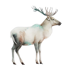 Reindeer illustration watercolor with transparent background. Generative AI